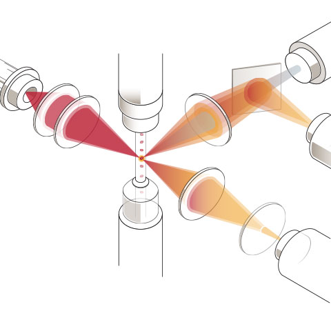 Diagram showing how the SNAPshot Dx technology works